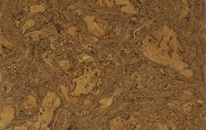 golden beach cork tile