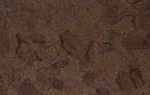 Rocky_Bush