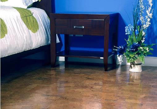 Dining_room_cork_floor